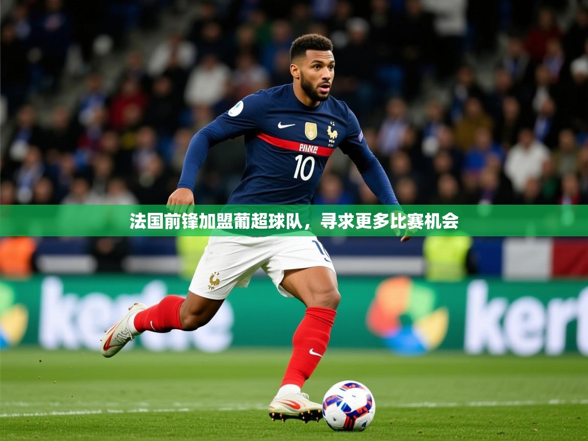 2025米兰体育官网入口法国前锋加盟葡超球队,寻求更多比赛机会 第4张