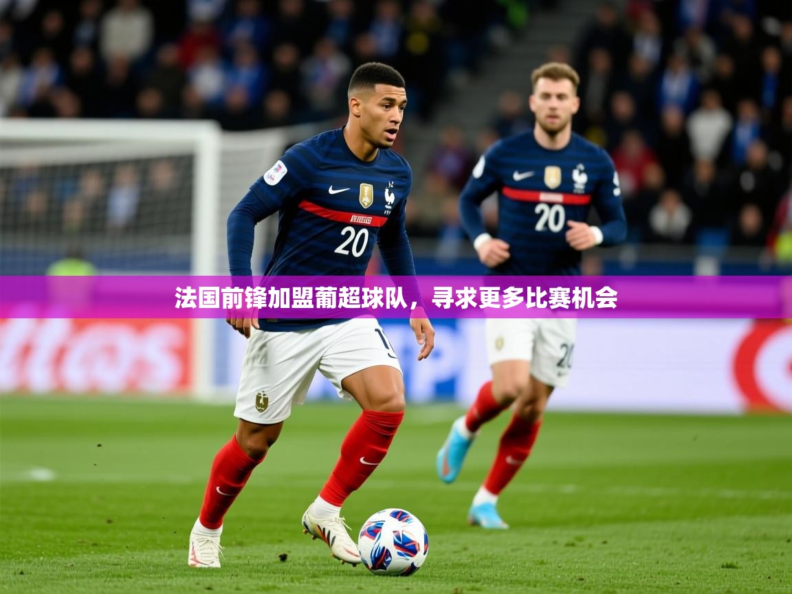 2025米兰体育官网入口法国前锋加盟葡超球队,寻求更多比赛机会 第3张