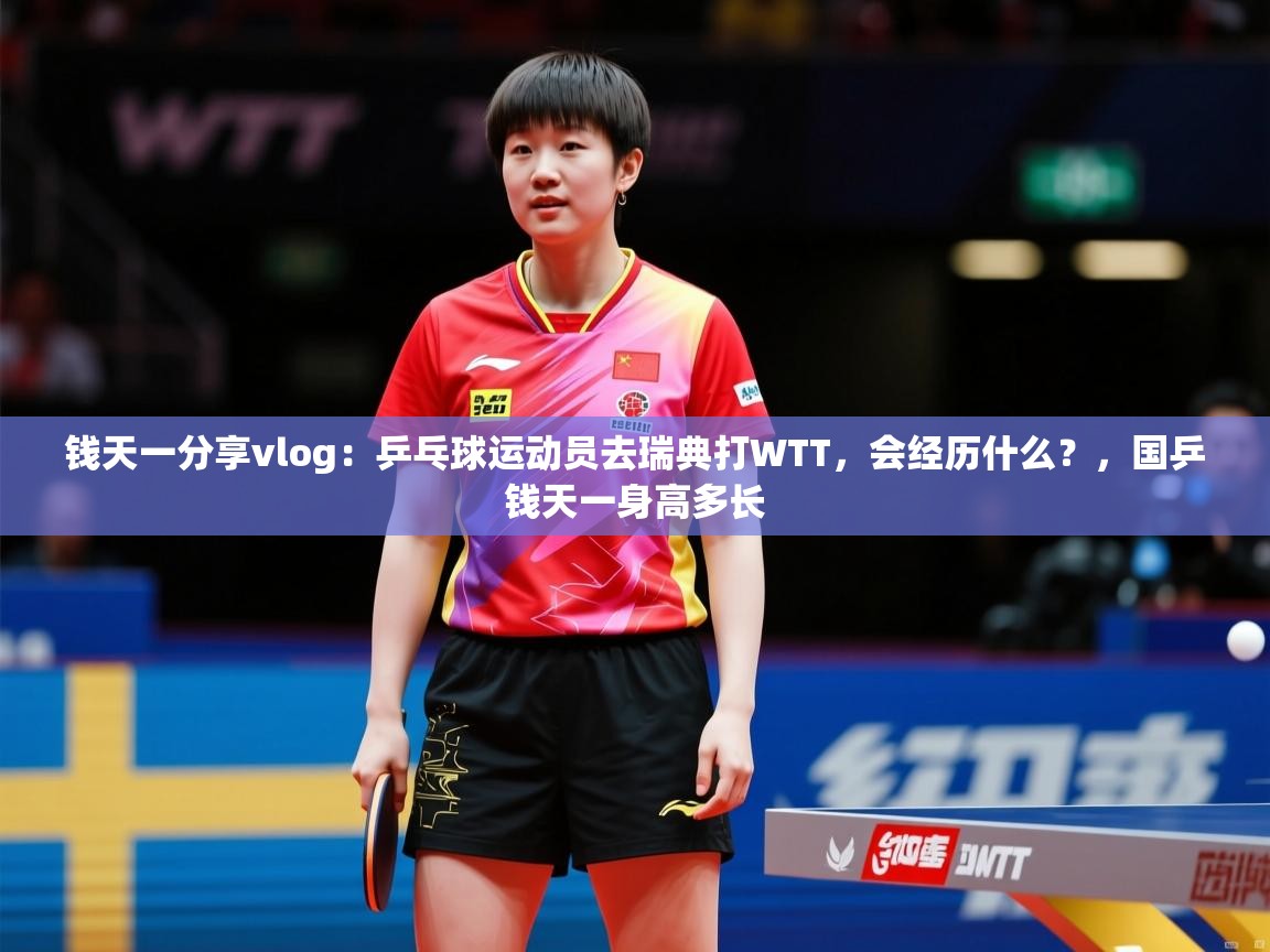 2025米兰体育网站优惠多钱天一分享vlog:乒乓球运动员去瑞典打WTT,会经历什么?,国乒钱天一身高多长 第3张