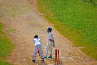 2025米兰体育电脑版官网年轻球员表现亮眼,球场气氛热烈 第2张